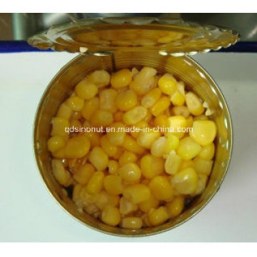 2016 Colheita de amêndoas de milho doce enlatadas